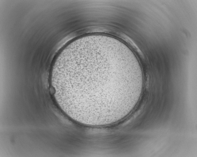 X0000115060786200911231214