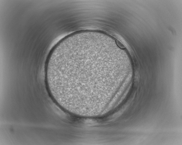 X0000115060787200911231214