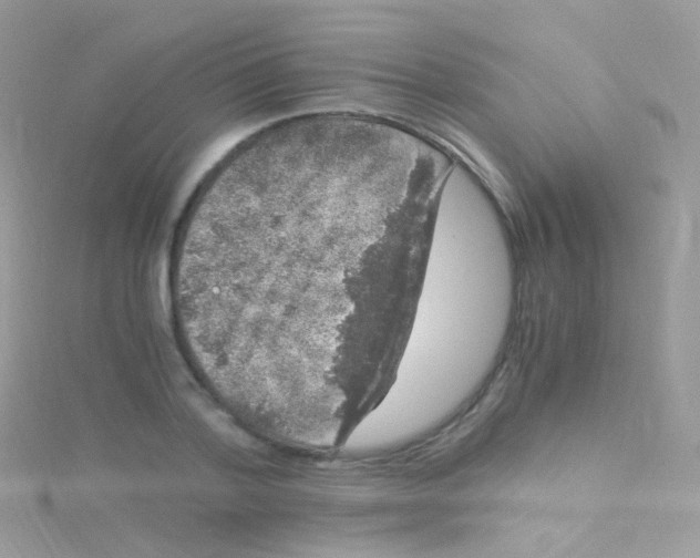 X0000115060788200911231214