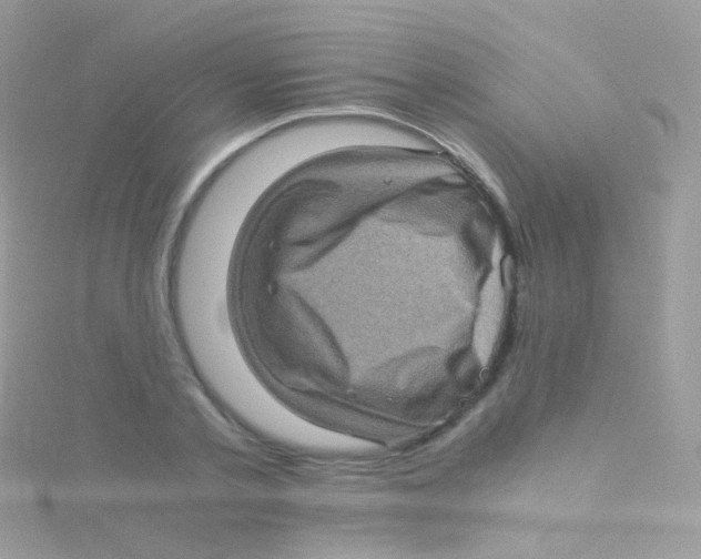 X0000115060789200911231214