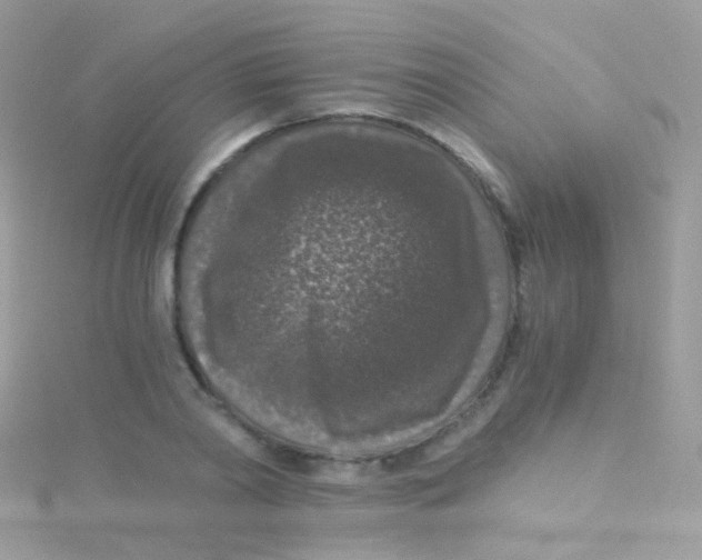 X0000115060790200911231214