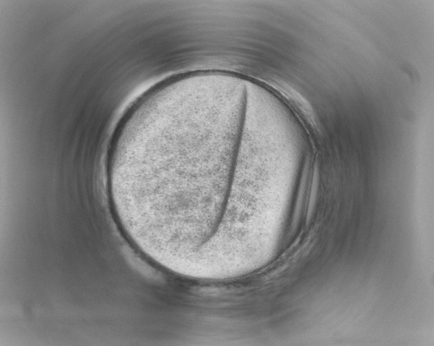 X0000115060792200911231214