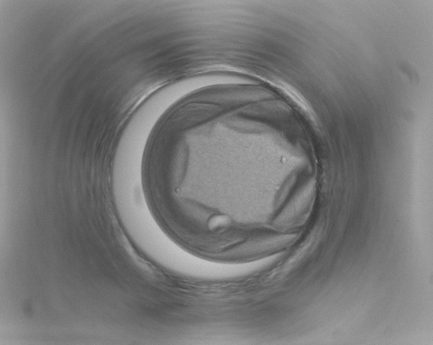 X0000115060793200911231214