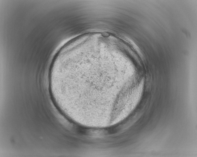 X0000115060795200911231214