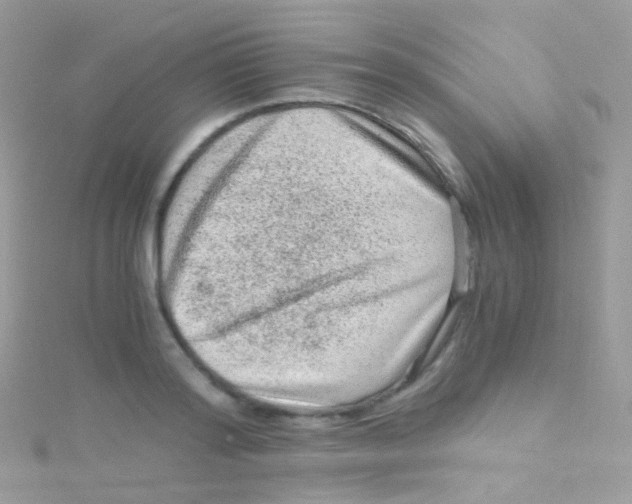 X0000115060796200911231214