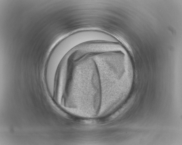 X0000115060797200911231214