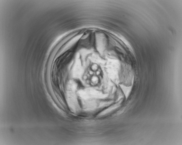 X0000115060799200911231214