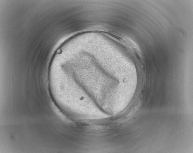 X0000115060800200911231214