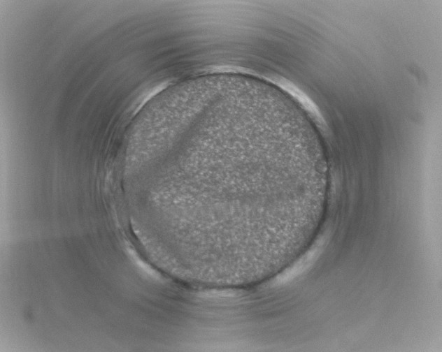 X0000115060801200911231214