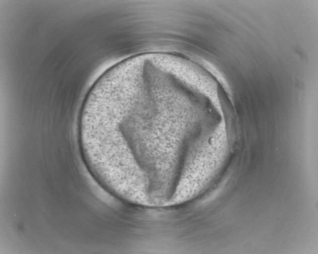 X0000115060803200911231214