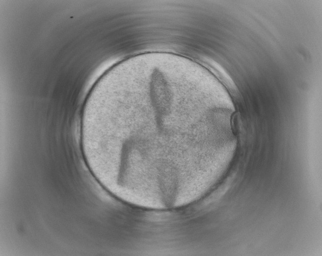 X0000115060804200911231214