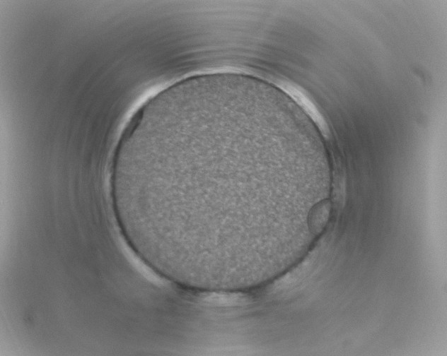 X0000115060805200911231214