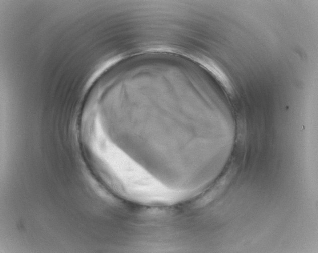 X0000115060806200911231214