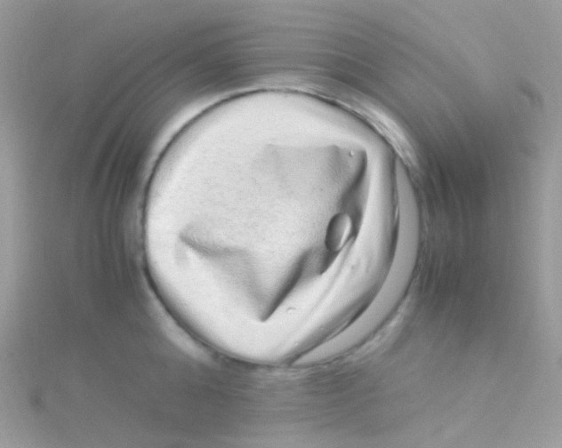 X0000115060808200911231214