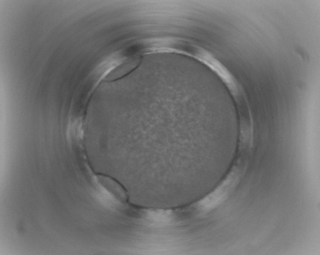 X0000115060809200911231214