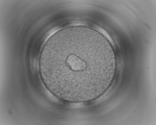 X0000115060810200911231213