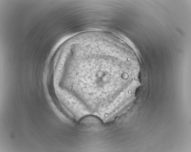 X0000115060811200911231213