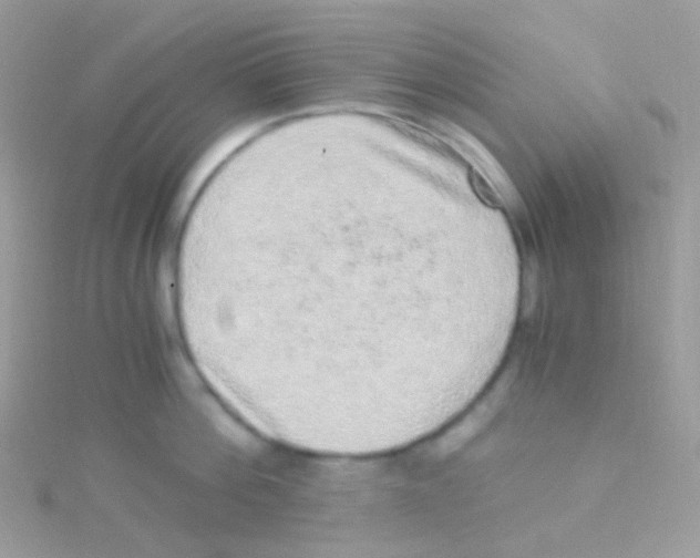 X0000115060812200911231213