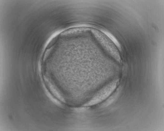 X0000115060813200911231213