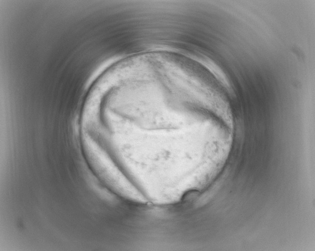 X0000115060814200911231213