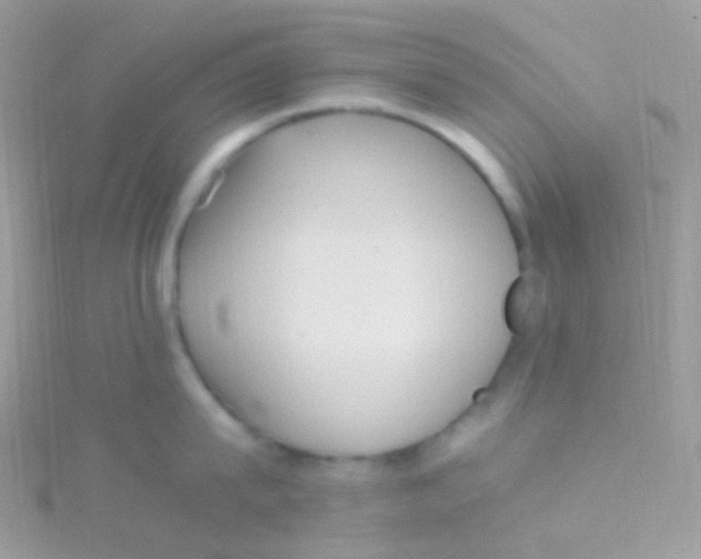 X0000115060815200911231213