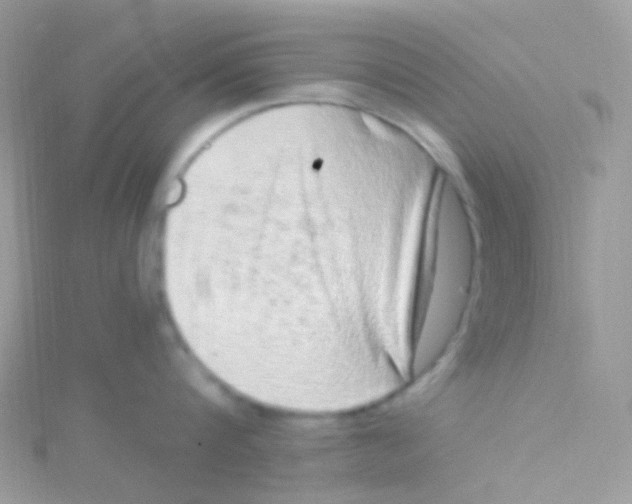 X0000115060816200911231213