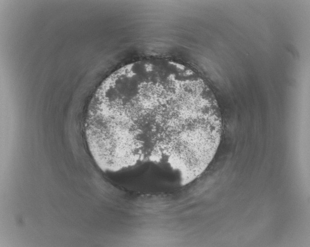 X0000115060817200911231213