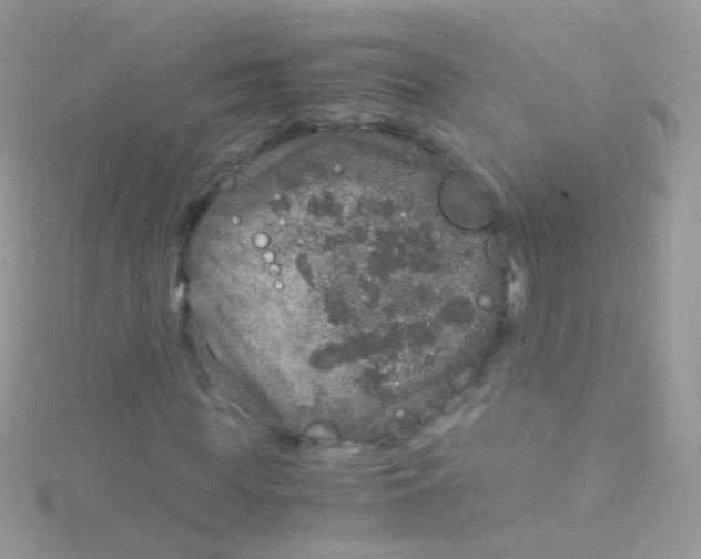 X0000115060819200911231213