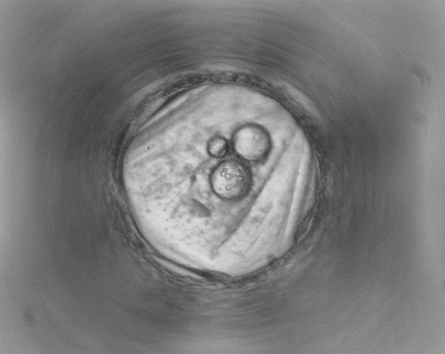 X0000115060821200911231213