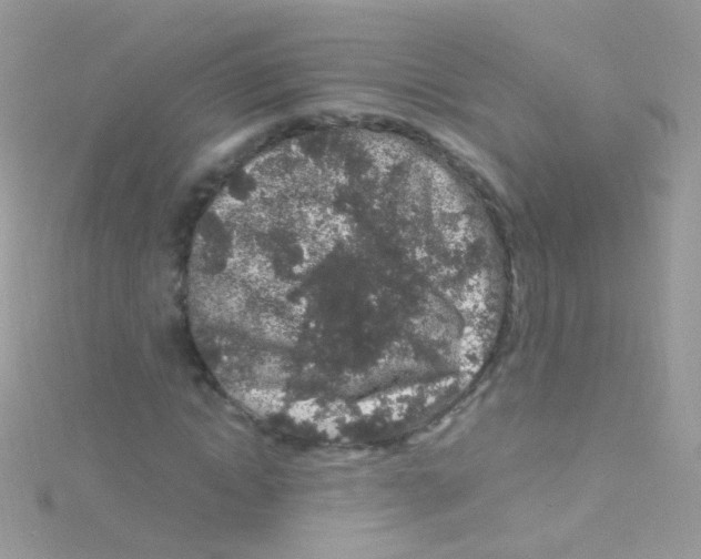 X0000115060822200911231213