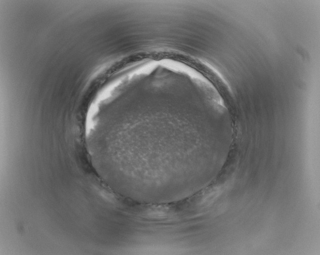 X0000115060823200911231213