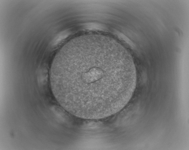 X0000115060824200911231213