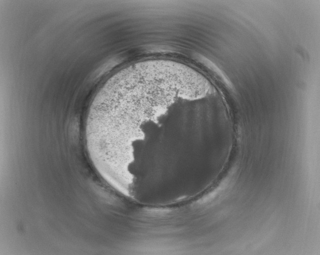 X0000115060825200911231213