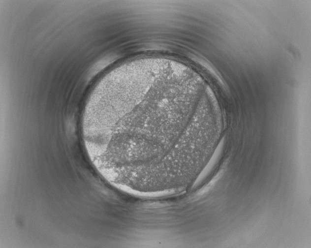 X0000115060826200911231213