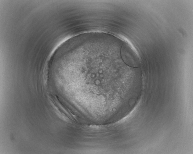 X0000115060827200911231213