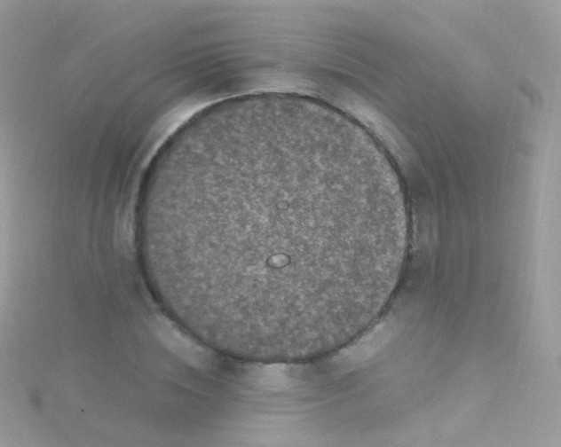 X0000115060828200911231213