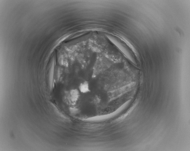 X0000115060829200911231213