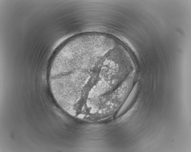 X0000115060830200911231213