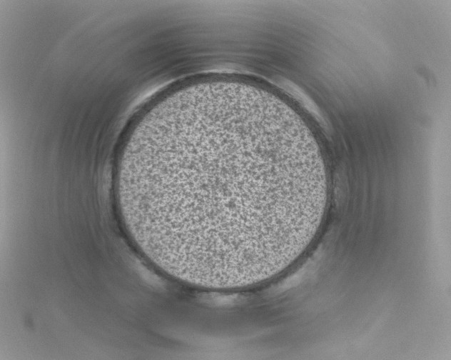 X0000115060831200911231213