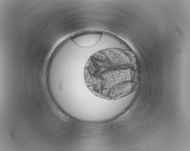 X0000115060832200911231213