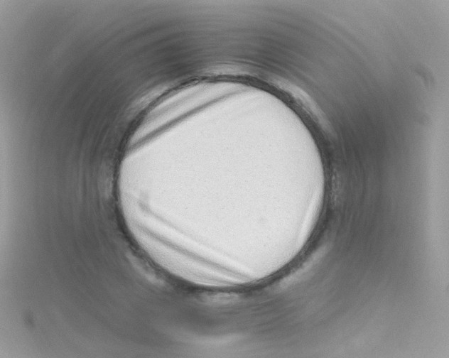 X0000115060833200911231213