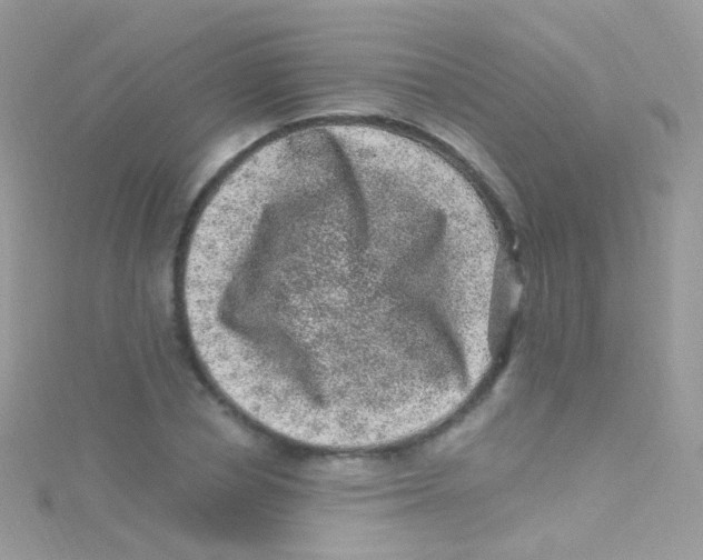 X0000115060834200911231213