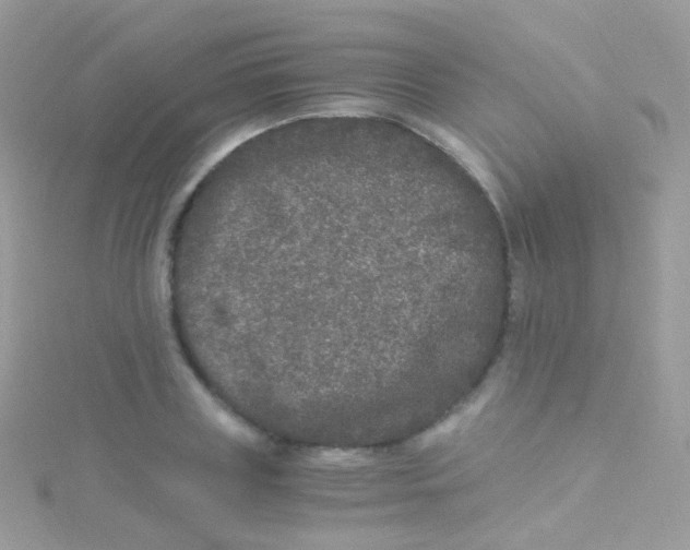 X0000115060835200911231213