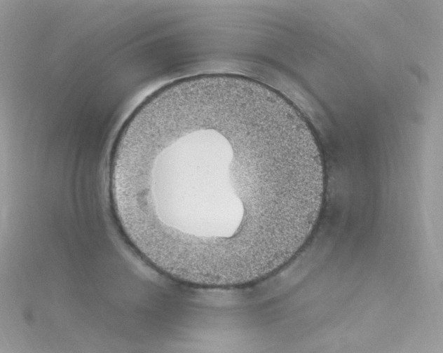 X0000115060836200911231213