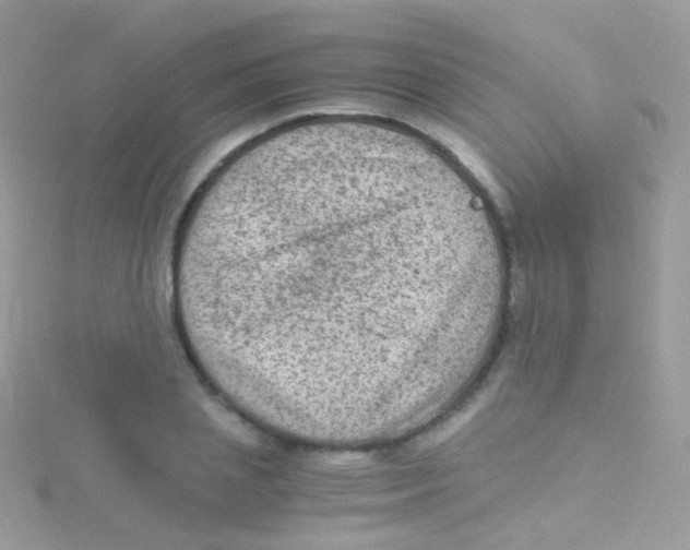 X0000115060837200911231213