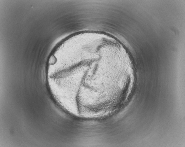 X0000115060838200911231213