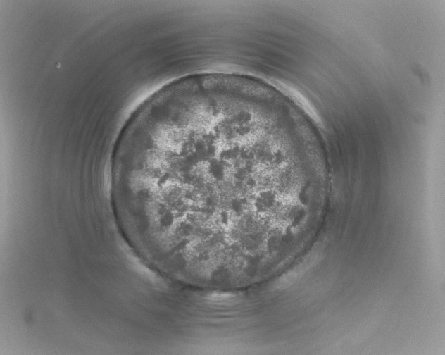 X0000115060839200911231213