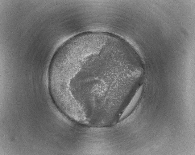 X0000115060840200911231213