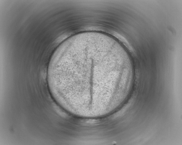 X0000115060841200911231213