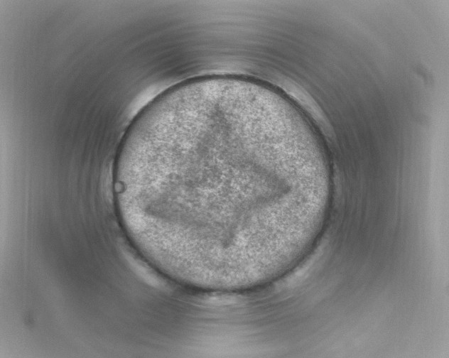 X0000115060842200911231213